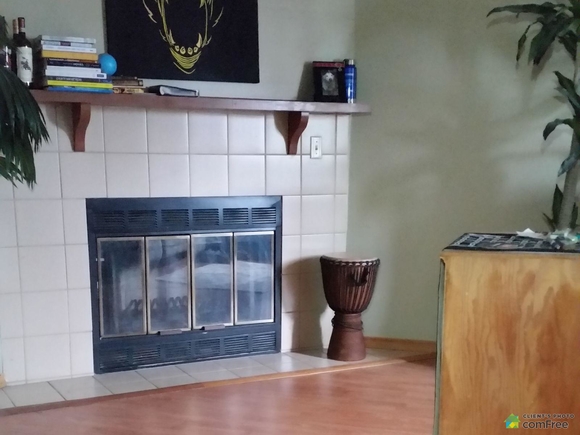 fireplace-condo-for-sale-london-ontario-1600-6362562.jpg